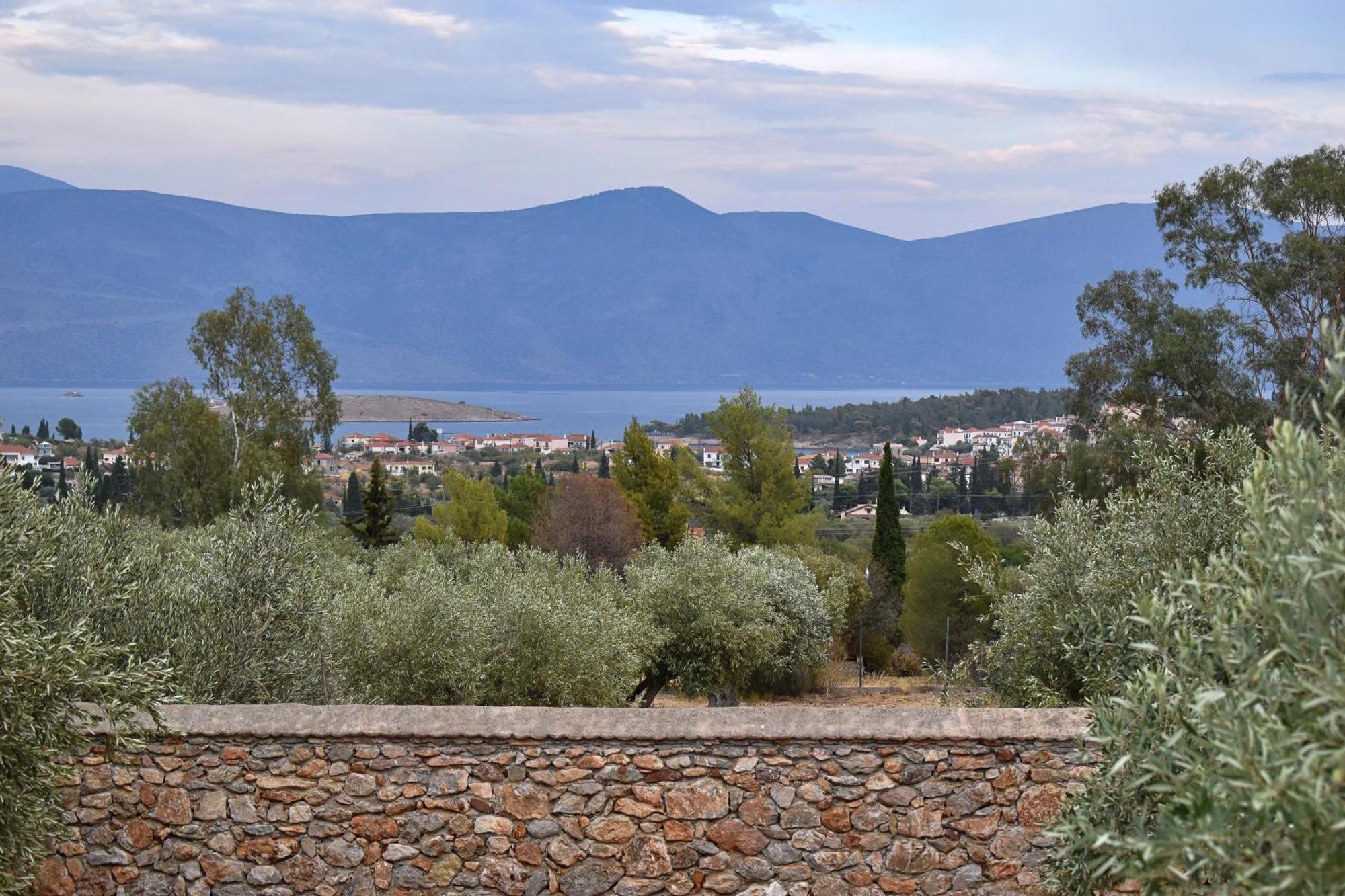 Villa In The Olive Trees Galaxidi Exterior photo