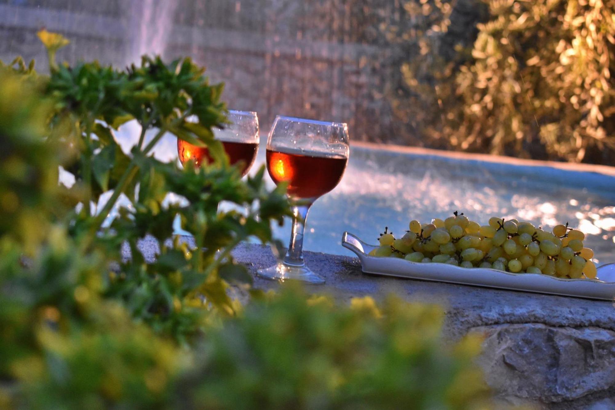 Villa In The Olive Trees Galaxidi Exterior photo